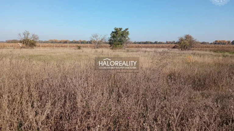 HALO reality - Predaj, pozemok pre rodinný dom 505 m2 Cífe