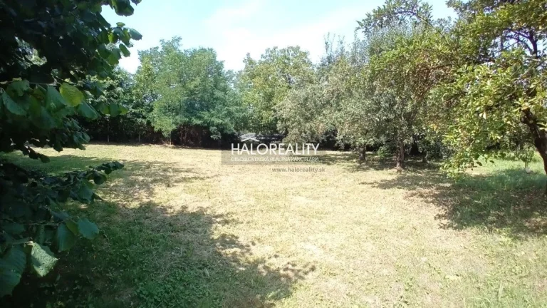 HALO reality - Predaj, záhradná chata Vidiná, na priestranno