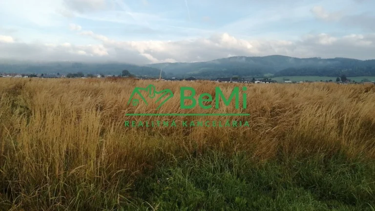 Predaj, investičný pozemok, Kotešová (205-14-MACHa)