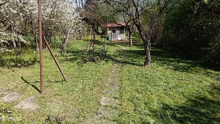 Predaj záhrady Tomáš R. Š.