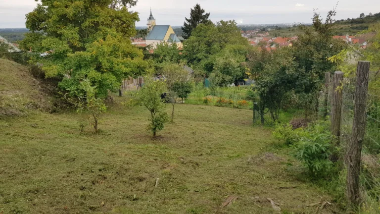 Prenajmem záhradu s krásnym výhľadom vo Svätom Jure