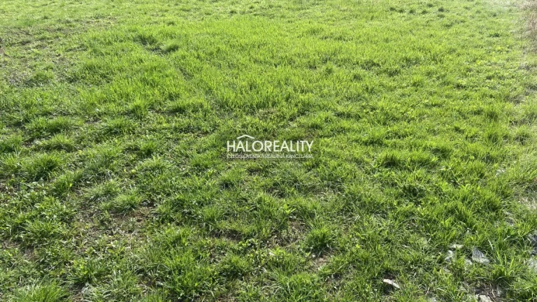 HALO reality - Predaj, pozemok pre rodinný dom 900 m2 Hani
