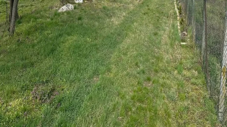 Záhrada na predaj v Nových Zámkoch.