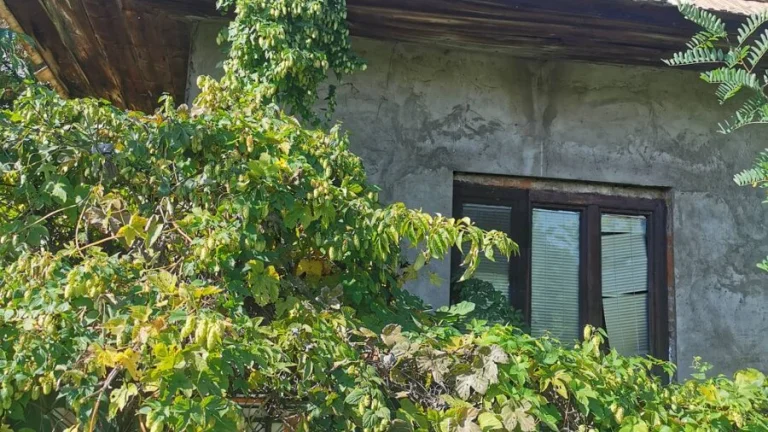 Pozemok na predaj v obci Čata