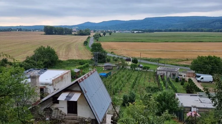 Predaj chaty vo vinárskej oblasti v Šahách, okres Levice