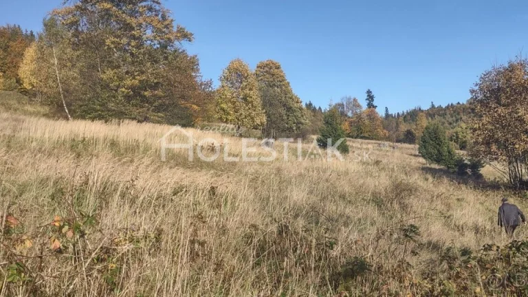 Predám zaujímavý, väčší pozemok v obci Oščadnica - Vreščovka