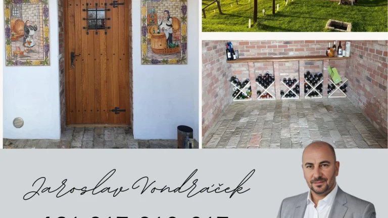 Jedinečná Vinná pivnica s viničom Lozorno
