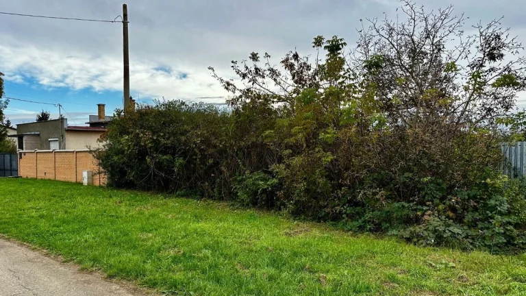 DRIENOVEC - STAVEBNÝ POZEMOK 1.000 M2 NA KĽUDNOM MIESTE V LO