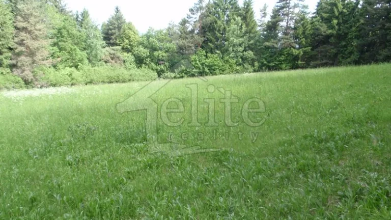 Predaj, Pozemok/Lesná pôda (RK01021164)