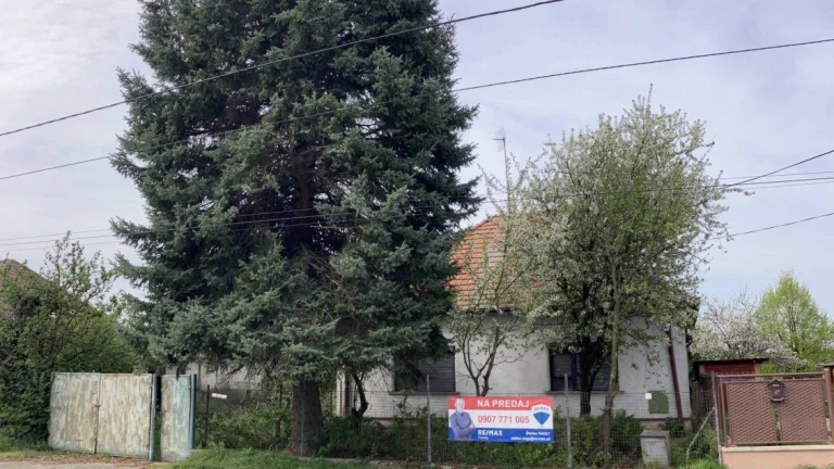 Predaj rodinný dom Mojmírovce EXKLUZÍVNE