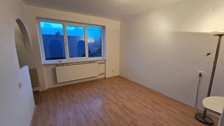 Predaj byt 1+kk 30 m2 pivnica Levice