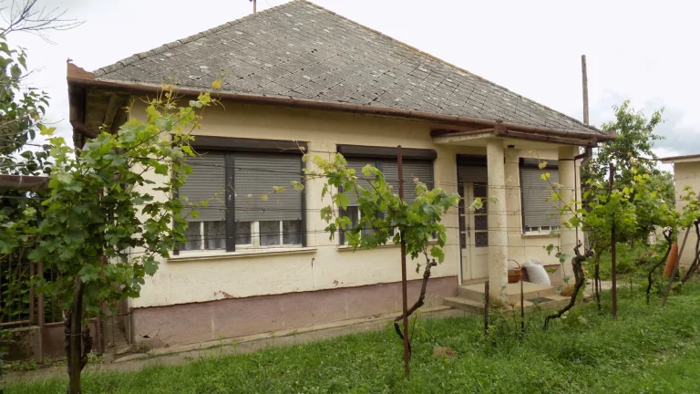 Tehlový 3 izb. dom v obľúbenej vinohradnickej obci Strekov p
