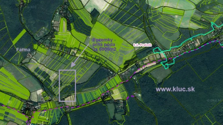 Orná pôda 2 x 6.000m2 v obci Prašník. okr. Piešťany