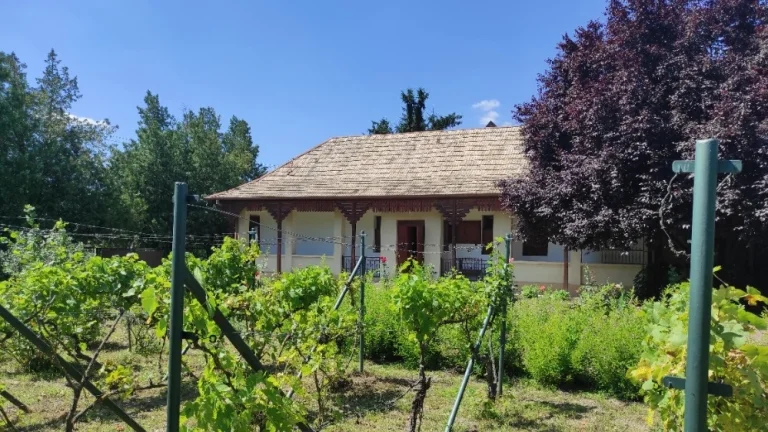 Znížená cena RD obci Hronovce s priestranným pozemkom
