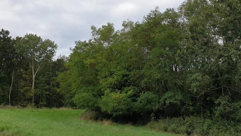 Ponúkame pôdu 2.000m2 - 20.000m2 v Bratislavskom a Trnavskom