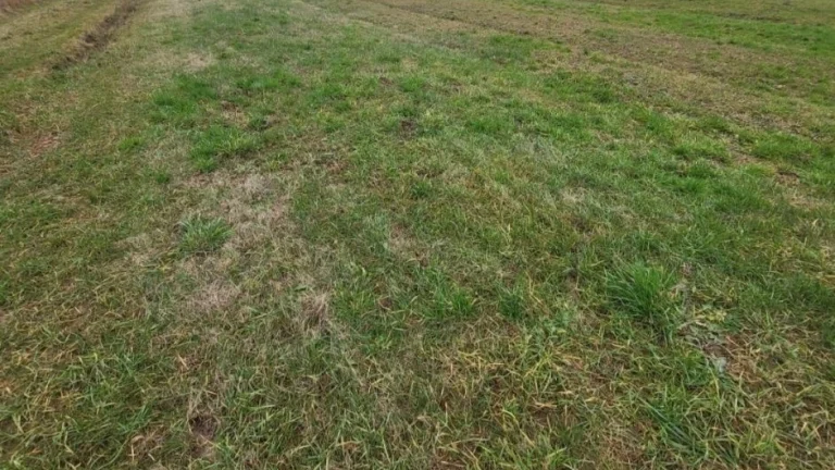 stavebný pozemok na rod.dom 741 m2, Lednické Rovne-Hôrka