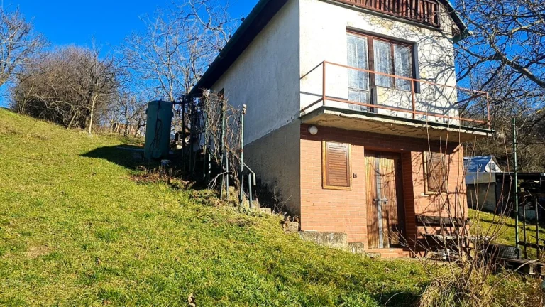 Vinohradnícky Domček s pozemkom Skalica