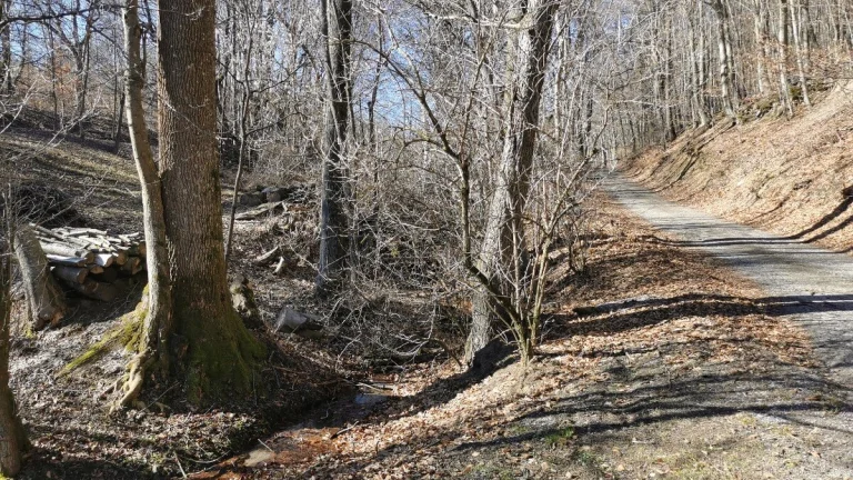 Predám ZÁHRADU 12.214 m2 v obci Košariská - Priepasné