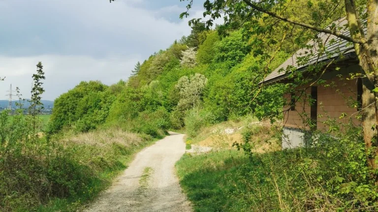 Na predaj veľmi pekný pozemok v ILAVE-1593 m2