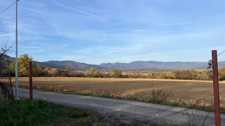 Zahrada,pozemok poruba