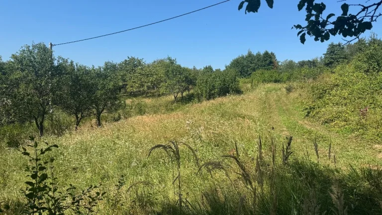 PREDAJ pozemku - Zubák, 3372 m2