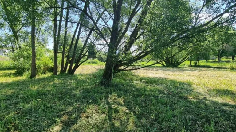 Predaj Rodinný dom Bitarová