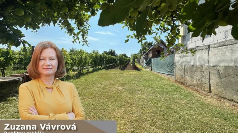 VINOHRAD vo vyhľadávanej lokalite mesta Skalica - Hliníky