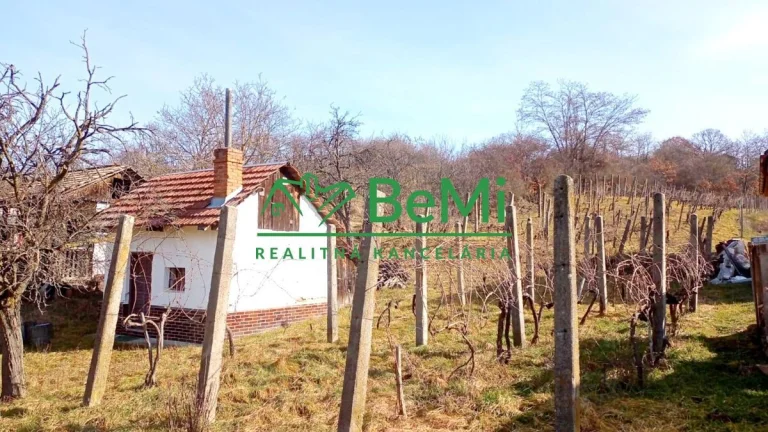 Predaj pozemku s vinicou a viničným domom - Levice ( 045-13-