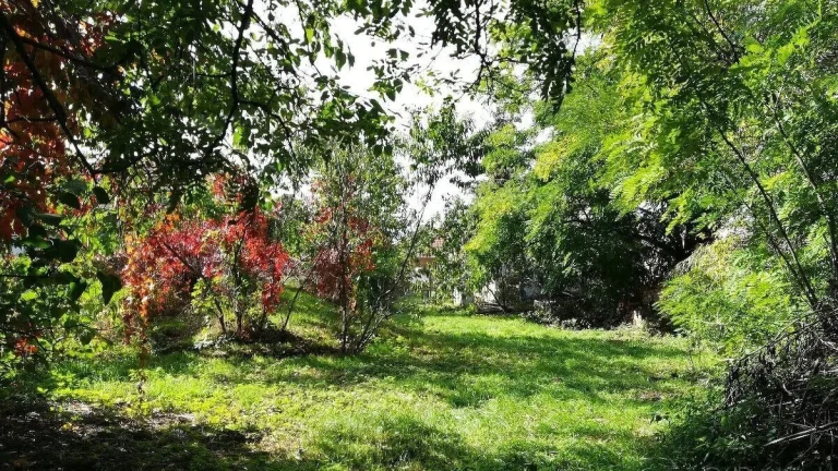 Na predaj stavebný pozemok so sieťami Lúčnica nad Žitavou -