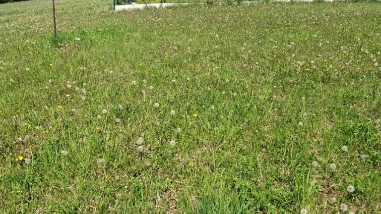 Predaj stavebný pozemok Kľače 589 m2