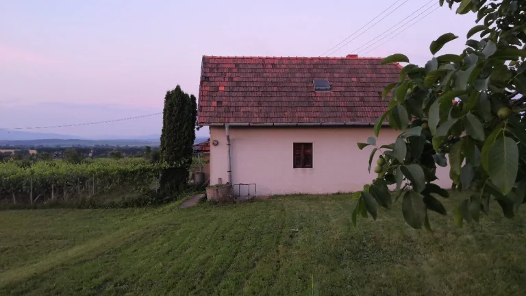 Vinica s hajlochom, Vrable