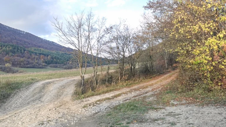 Rekreačný pozemok v Košeckom Podhradí, 727 m2