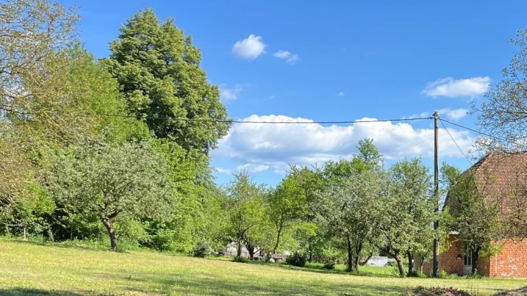 SKVELÝ REKREAČNÝ POZEMOK 691 m2 - MORAVSKÉ LIESKOVÉ, okr. NM