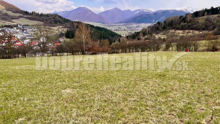 Pozemok trvalý trávnatý porast