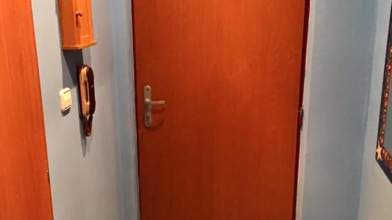 dám do prenájmu 1 izbový byt