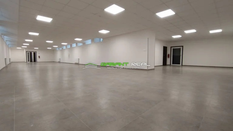 Prenájom obchodný/komerčný priestor, 253 m2, Masarykova ul.