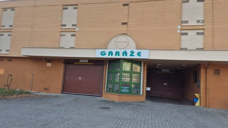 Garáž na predaj, Ľadoveň