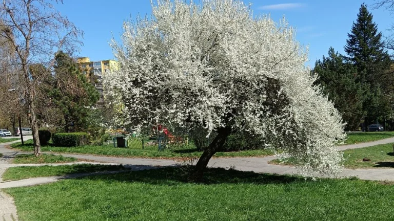SLNEČNÝ 2IZB S LOGGIOU V BLÍZKOSTI BIELÉHO DOMU