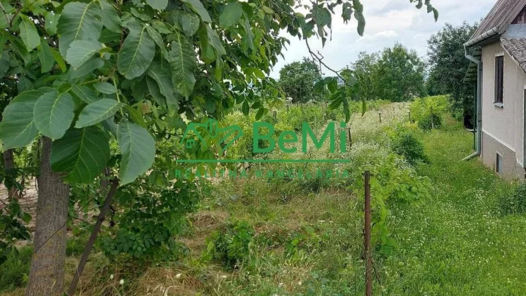 Predaj vinica podiel 1/4 Čechynce pri Nitre, (180-13-ERF)