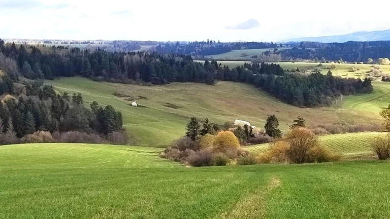 Pozemok v Liptovskom Mikuláši časť Okoličné na predaj ID: 05