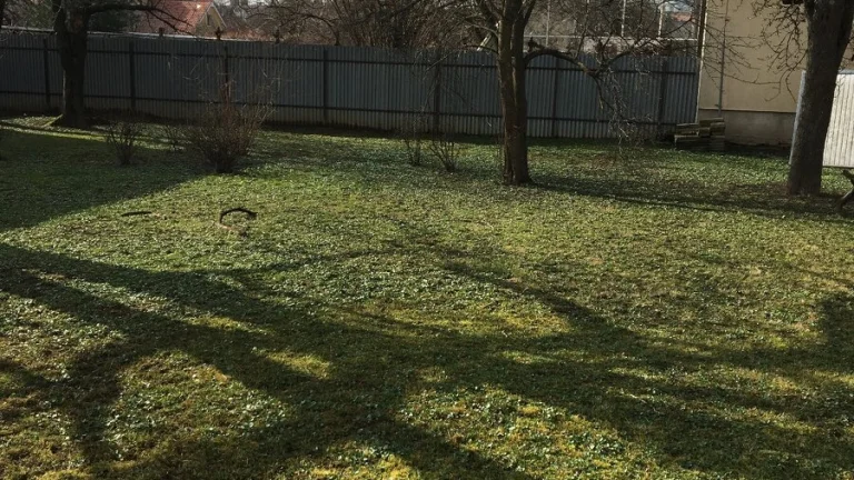 Predám pozemok