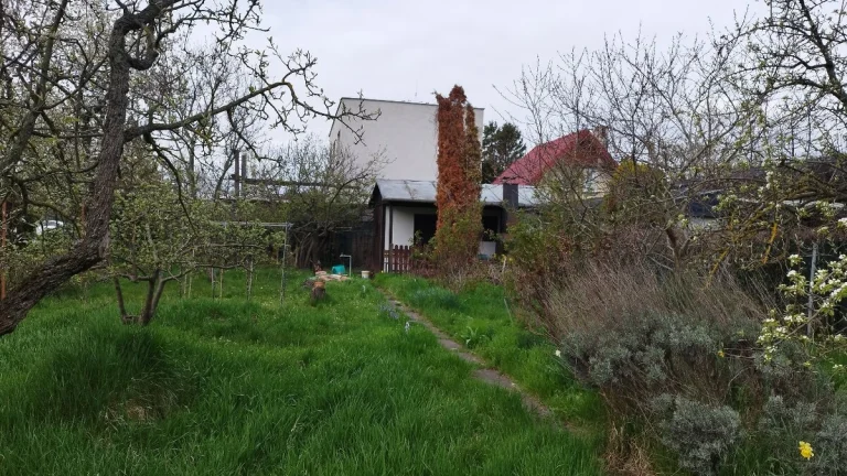 Záhrada v Bratislave pri Zlatých pieskoch