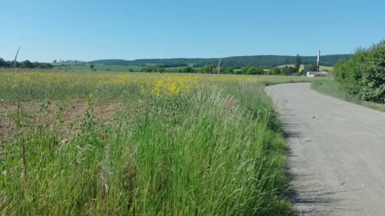 Pozemky na predaj Šarišské Michaľany