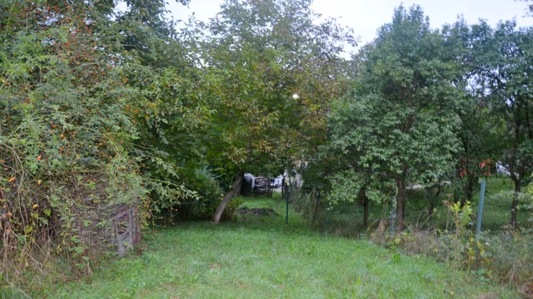 Predaj - Pozemok - Žikava - ZĽAVA