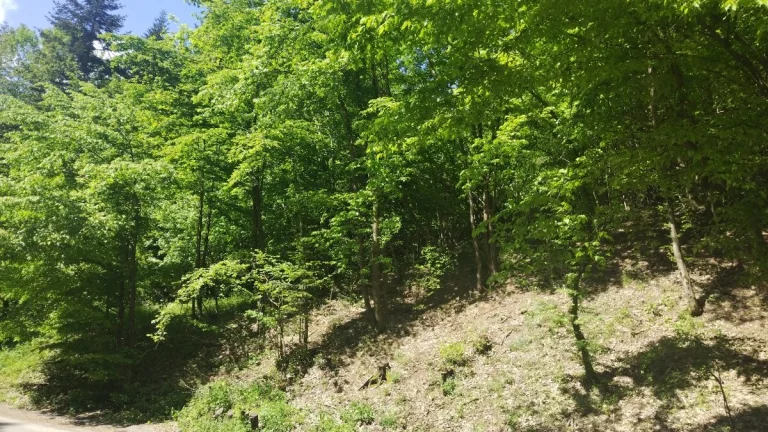 Pozemok Banská Štiavnica