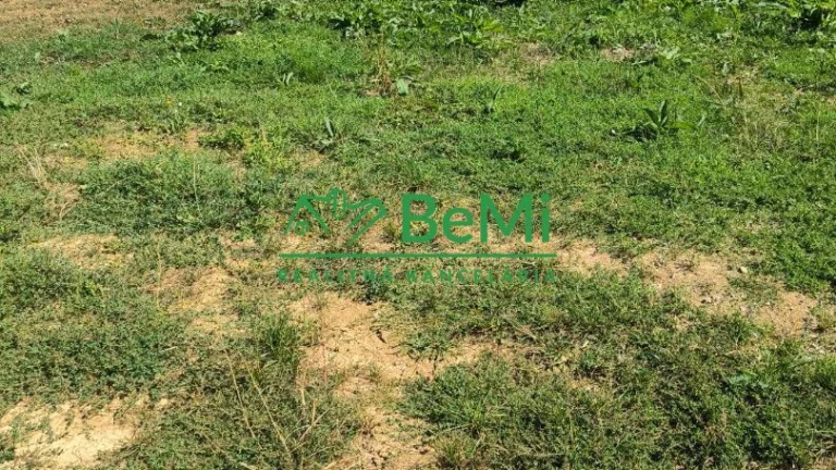 Pozemok Podhorie, okres Žilina 519m2 124-14-PEMOa