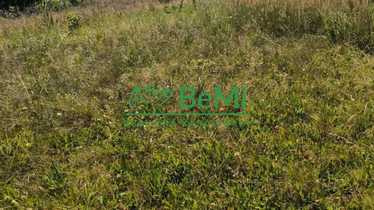 Pozemok Čierne, okres Čadca, 1502 m2 121-14-PEMOa