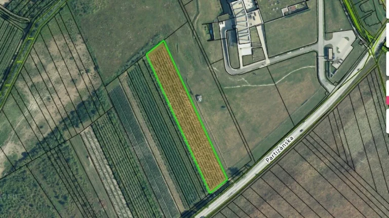 Na predaj pozemok - Vinica priamo pri Elesku Modra Dubová