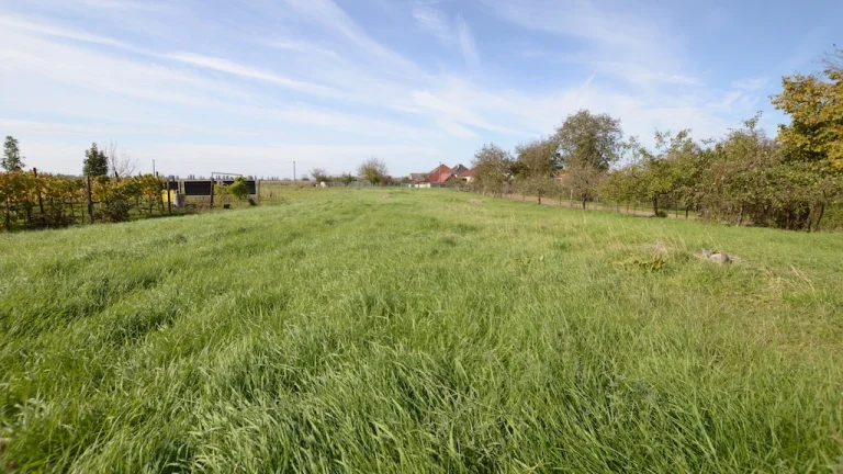 NA PREDAJ VEĽKÝ POZEMOK V OBCI PODLUŽANY, OKRES LEVICE