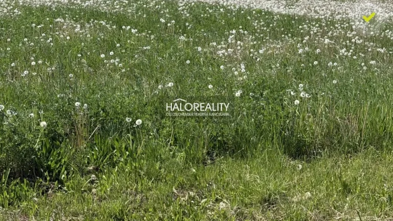 HALO reality - Predaj, pozemok pre rodinný dom 800 m2 Andovc